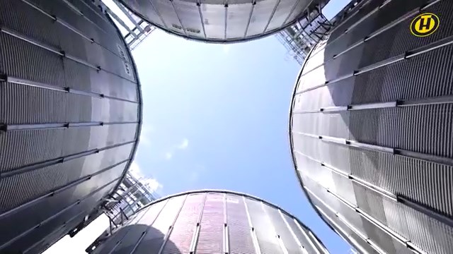 Рекордный урожай рапса и масштаб его переработки