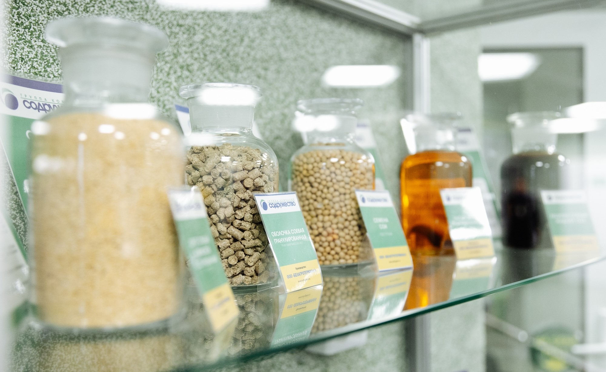 Закупка рапса и рапсового масла по ноябрьским ценам